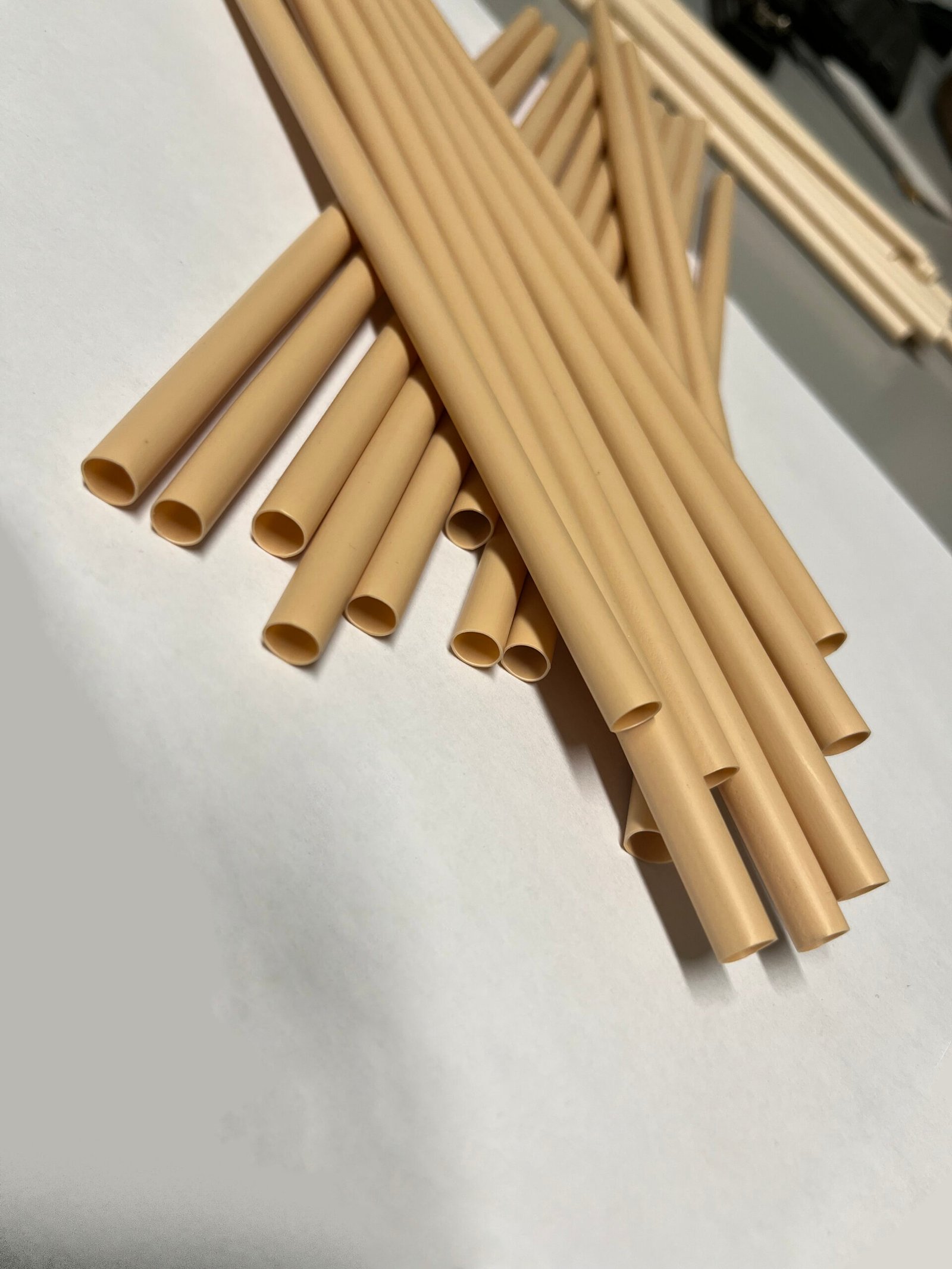 Popote26BIO